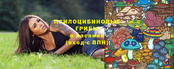 мет Белокуриха