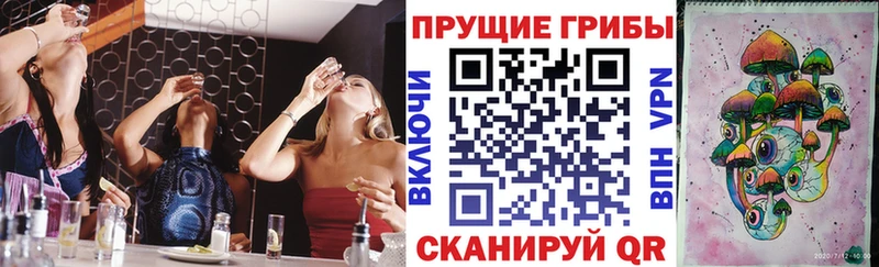 ссылка на мегу сайт  купить закладку  Кинешма  Галлюциногенные грибы GOLDEN TEACHER 