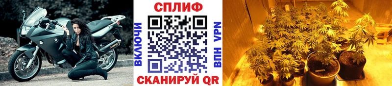мориарти телеграм  Кинешма  МАРИХУАНА Bruce Banner 